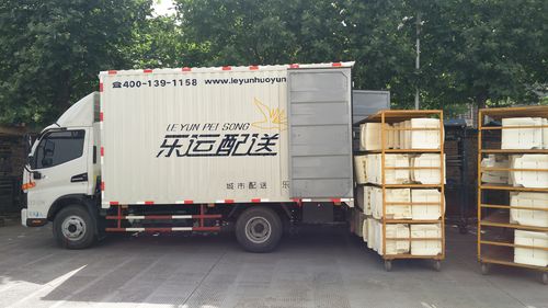 选择乐运货，货物运送后顾无忧——城市配送运输服务的可靠之选